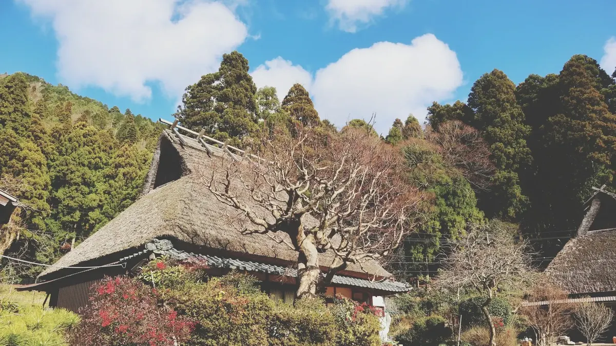 Ein reetgedecktes Bauernhaus auf dem Land in Japan.
