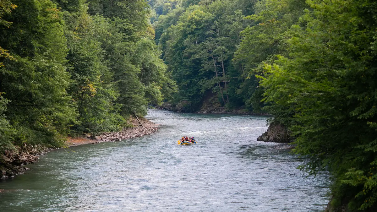 Una balsa en un río entre orillas boscosas