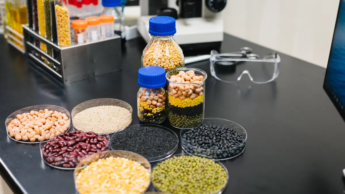 Échantillons de céréales et de légumineuses sur la paillasse d'un laboratoire alimentaire