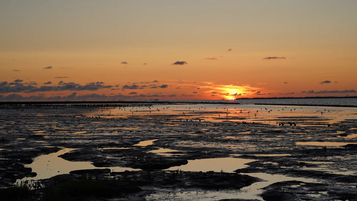 Marée basse sur une vasière côtière au coucher du soleil. Un arrêt au bord de l'eau en fin d'après-midi peut clore un jour d'arrivée ou de départ.