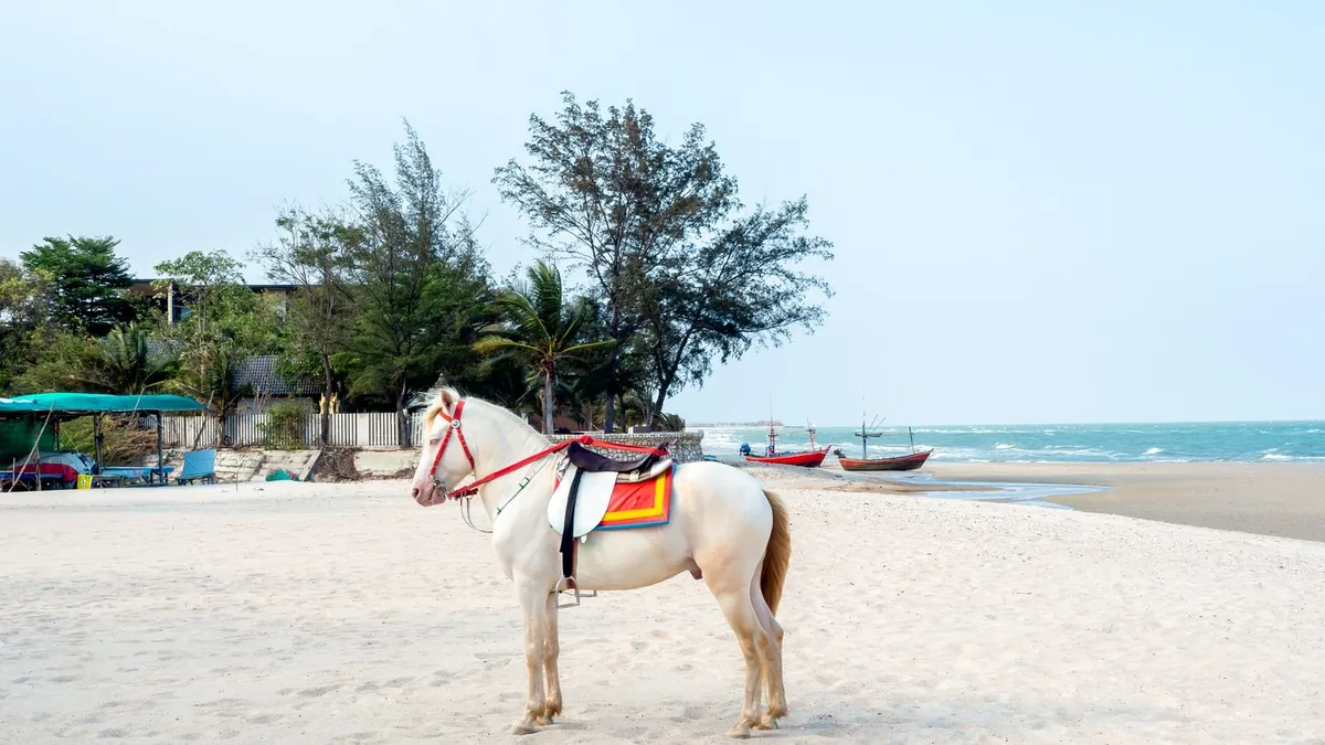 Um pónei selado à espera numa praia tranquila: o ritmo calmo que um combinado junta a Pattaya.