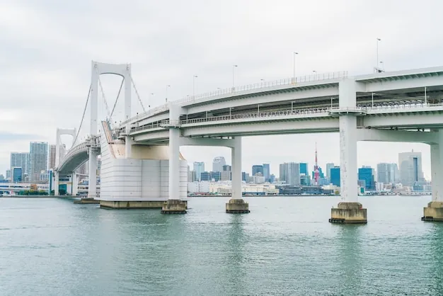 Navios de cruzeiro japoneses para grupos: guia para agentes