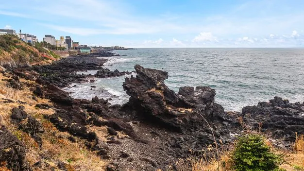 Récord de pasajeros internacionales en Jeju: grupos