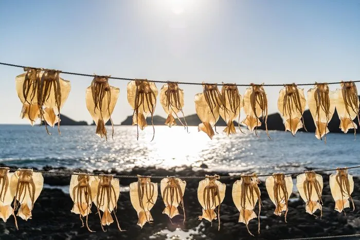Lulas a secar ao sol junto ao mar. O marisco faz parte de uma estadia na costa, por isso planeie para o grupo uma refeição num mercado ou no porto.