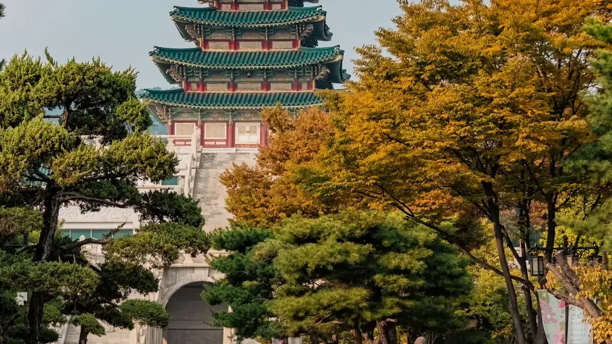 Das gestufte Dach des Nationalen Volkskundemuseums von Korea in Seoul vor herbstlichen Bäumen. Museen nahe den Palästen passen zum Vormittag.