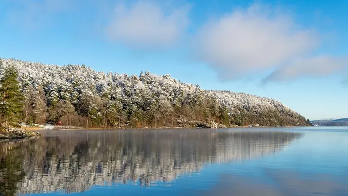 Snow-dusted trees above a still lake that reflects them in winter light.