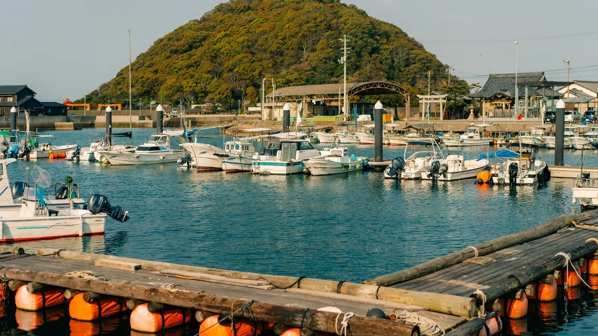 Small boats moored in a harbour below a wooded hill