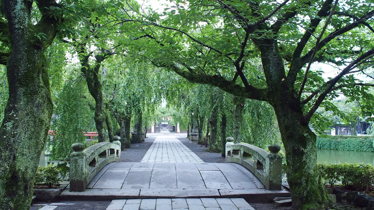 Une allée menant à une passerelle à travers les arbres d'un parc