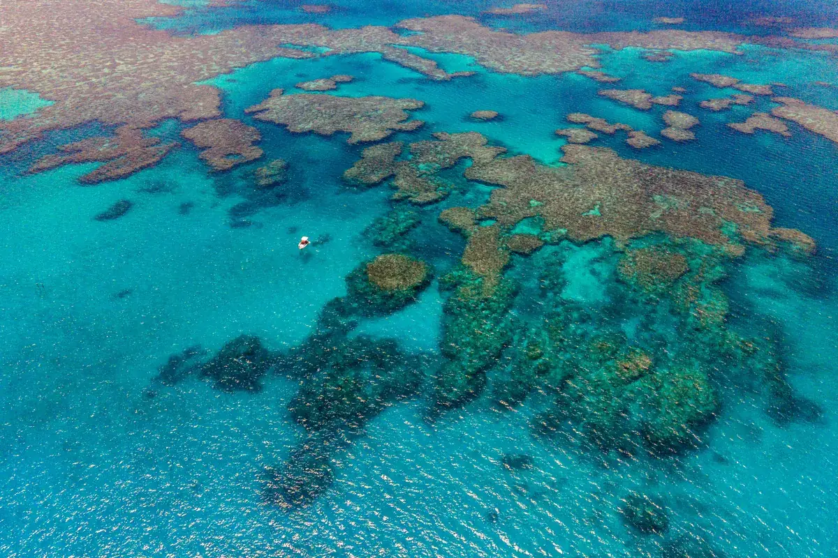 Coral heads in clear shallow water: Miyako's reefs often begin close to the shore.