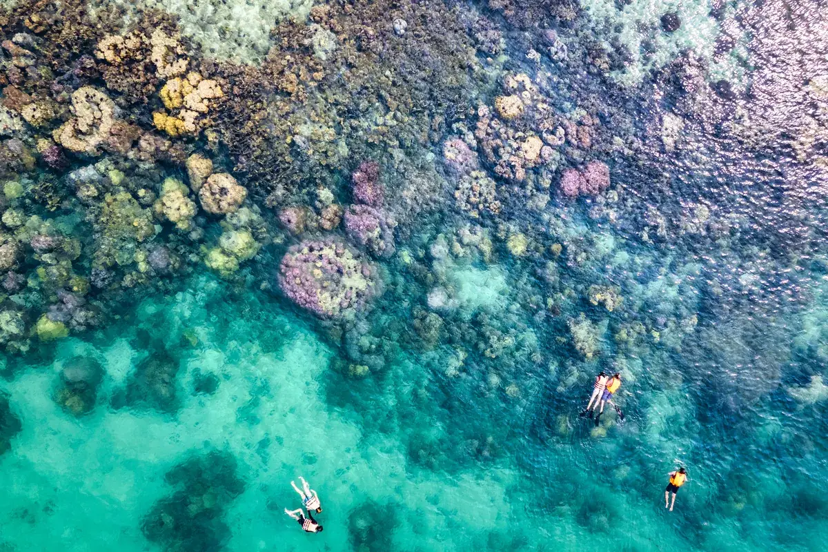 Snorkellers over a reef in clear water: guided, sheltered sites suit mixed-ability groups.