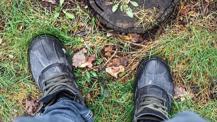 Wanderschuhe auf nassem Gras neben einem Baumstumpf