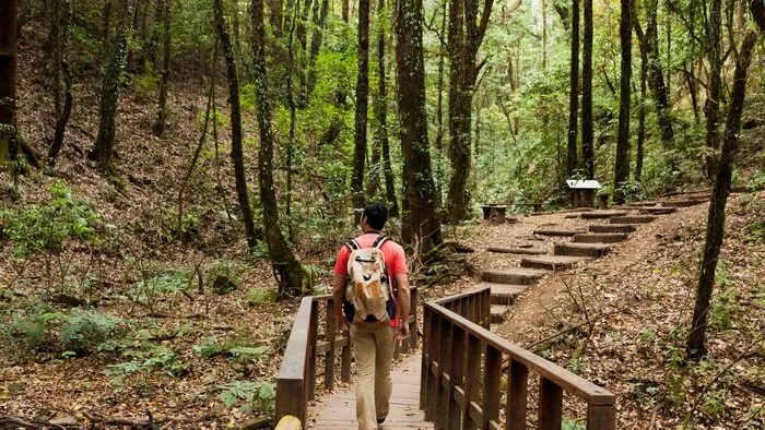 Grupos en Nueva Zelanda: qué se agota primero