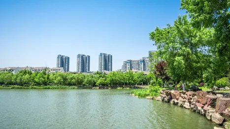 Sejong Day Trip for Groups: Gardens, Lake and Padak