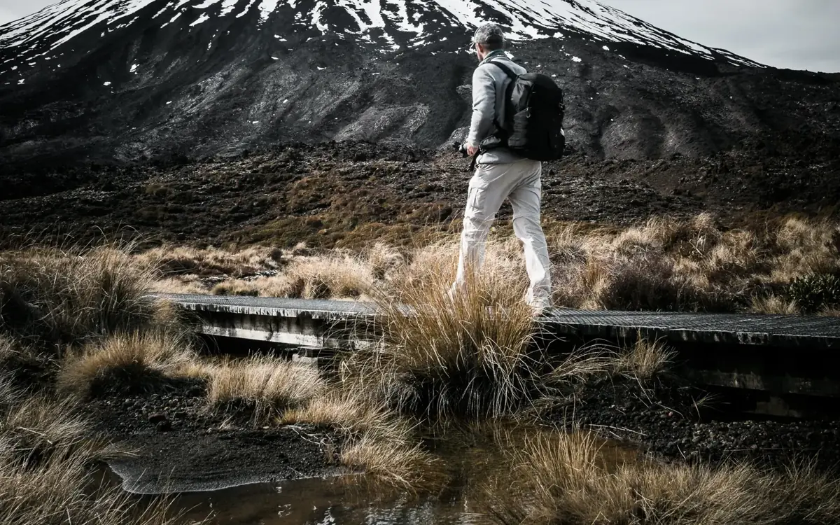 A walker on a boardwalk through tussock below a snow-capped volcanic cone