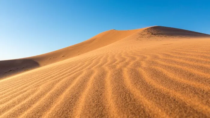 Wind ripples across the face of a sand dune under a clear sky.