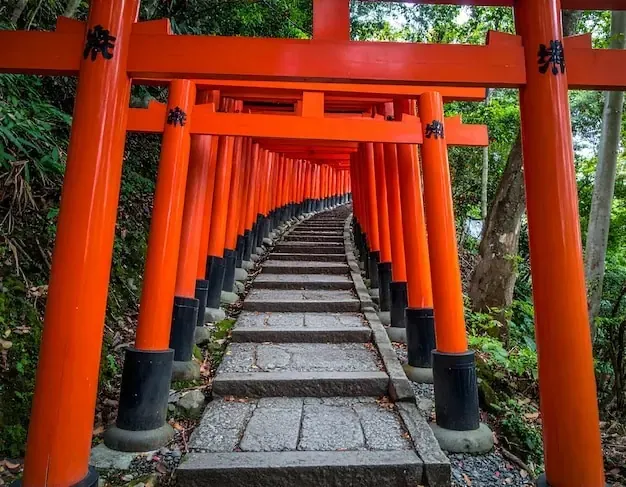 森林中石阶上方的红色鸟居隧道。